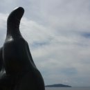 탑 번역일반행정사사무소 이미지