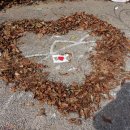 호명산 농장 이미지