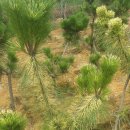 한길농원 이미지