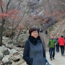 구곡폭포(문배마을) 이미지