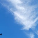 제천식당 이미지