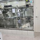 대산읍커뮤니티센터 | 충청남도 서산시 예방접종 전문 병원 추천 BEST 4곳