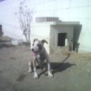 부광주유소 이미지