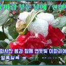 안*경 이미지