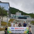숲애 케이에스피뉴스