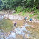 골안민박 이미지