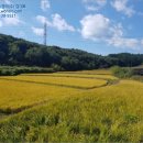 황방이보건진료소 네이버블로그