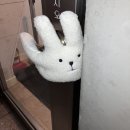 유한회사 애원애드카 | [어쩌다 연간블로그]스물넷이 쓰는 스물셋(1)