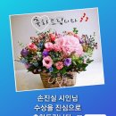 손진실 시인님께서 홋카이도 삿뽀르＜미우라 아야꼬＞ 문학관에서 주최하는 시화전에서 최우수상을 수상하신 기쁜 소식을 전해 오셨습니다. 이미지