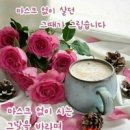 천조공인중개사사무소 이미지