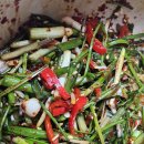 청홍농장 | 달래 효능 7가지 + 달래장 만드는법 + 봄 제철 음식 직접 채취 후기