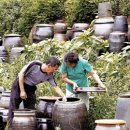 황혼농장 이미지