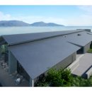 신미술관 이미지