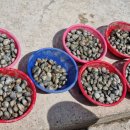 영암어촌체험휴양마을 이미지