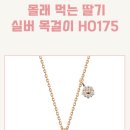 H0175 이미지