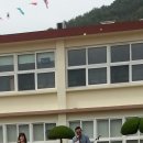 풍화초등학교 Daum카페
