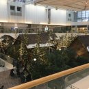 북천천 | 언뇽허삽나까. 저 졸업 합니다…