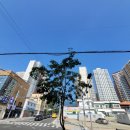 회원1동새마을문고 이미지