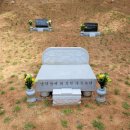 늘푸른장 이미지