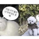 (주)산책