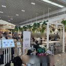 담태 | 임산부 청주공항 주차대행 (발렛 아마노코리아) 에어로케이 이용 후기