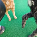 땡글땡굴 이미지