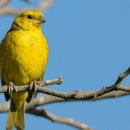 순복음총회신학교 이미지