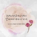 미라클숲 이미지