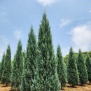 상록수영농조합법인 이미지