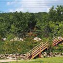 자일랜드 이미지