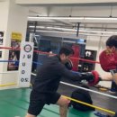 정일복싱 2호점 이미지