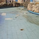 애드탑시스템