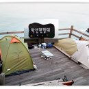 중앙선어시장 이미지