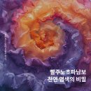 패스트패션(SPA)의 그늘_옷이 흐르는 강 | #6월 | 100% 식물로 옷을 만드는 수카치타 브랜드 이야기 (ESG 경영, 천연염색, 식물섬유, 천연염료...