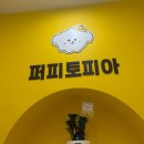 광주유치원 | 강아지훈련이가능한 광주 서구 애견유치원 퍼피토피아 쌍촌점 방문후기