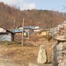 운수3리 Daum카페