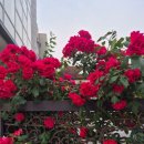 광양숯불구이 지산점 이미지