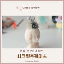 시크릿북케이스 캔들 자격증 수업 후기│직장인 수강생과 3개월의 기록