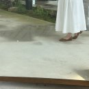 GR(정선군)-[지장천로]-하-10 | 강원도 정선 카페 :: 휴가 여행 느낌 물씬나는 넌커피