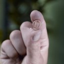 동아보청기 이미지