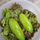 마디호박,,꽃상추,,선인장꽃,, 이미지