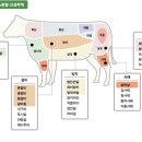 고기~부위별 명칭&amp; 어떤 요리에 적합할까? 이미지