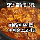 봉달이꼬리집 | 천안 불당동 맛집 매운소꼬리찜 추천 [봉달이꼬리집] 메뉴 및 후기 ft.술이 들어간다~!