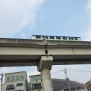 금화천 네이버블로그
