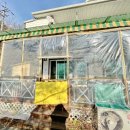 THANK YOU DOG (땡큐도그) 이미지