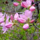 진 약국 이미지