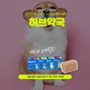 신금호약국