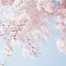 재무 테라피를 통한 행복한 부자되기 | 행복한 경제적 자유인 되기 6​기 정규 강의