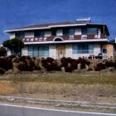 초지초등학교 앞 이미지