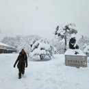 설국 - 강남구 남부순환로 2806 | 설국